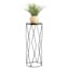 Providence Black Metal Plant Stand, Small