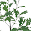 Outdoor-Rated Oak Arrangement, 29"