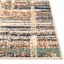 (D606) Sand & Spice Palatial Area Rug, 7x9