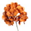 Brown Hydrangea Floral Pick, 13.5"