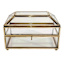 Providence Clear & Gold Decorative Box, 6x4