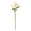 Willow Crossley White Anemone Floral Stem, 17"