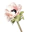 Willow Crossley Light Pink Anemone Stem, 17"