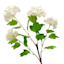 Willow Crossley White Hydrangea Floral Stem, 30"