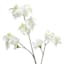 Willow Crossley White Real Feel Pea Flower Spray, 23.6"