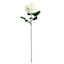 Willow Crossley White Real Feel Rose Floral Stem, 25.6"