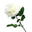 Willow Crossley White Real Feel Rose Floral Stem, 25.6"