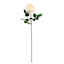 Willow Crossley Cream Real Feel Rose Floral Pick, 25.6"