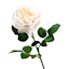 Willow Crossley Cream Real Feel Rose Floral Pick, 25.6"