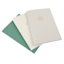 Sage Serenity 3 Pack Pu Journal