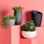 Crosby St. Clovis Black Tall Outdoor Planter, Large