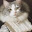 12X12 Grey Victorian Cat Canvas Wall Art