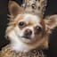 12X16 Victorian Chihuahua Canvas Wall Art