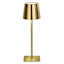 Gold Indoor & Outdoor USB Portable Rechargeable Lamp