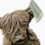 Highland Cow Kitchen Canvas Wall Art, 18x24