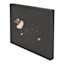 Fancy Dachshund Dog Canvas Wall Art, 16x12