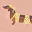 Bikini Dachshund Dog Canvas Wall Art, 16x12