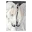 Black & White Horses Canvas Wall Art, 24x36