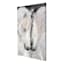 Black & White Horses Canvas Wall Art, 24x36