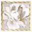 Providence Glass Framed White & Gold Peonies Print Wall Art, 17"