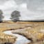 Honeybloom Melody Fields Canvas Wall Art, 36x18