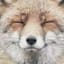 Ty Pennington Zen Fox Portrait Canvas Wall Art, 20x16
