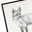 Ty Pennington Framed Fox Canvas Wall Art, 17x13
