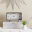 Agave with White Ceramic Planter, 6"