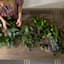 Willow Crossley Purple Lavender Floral Spray, 12"