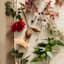 Willow Crossley Eucalyptus & Seed Spray, 32"