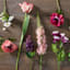 Willow Crossley Red Soft Tulip Floral Pick, 27"