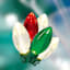 70-Count LED Transparent Red, Green & Warm White C9 String Light Reel
