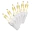 100-Count Warm White LED Twinkle String Lights with White Wire