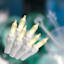 100-Count Warm White LED Twinkle String Lights with White Wire
