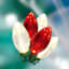 70-Count LED Transparent Red & Warm White C9 String Light Reel