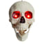 Posable Life-Size Halloween Skeleton, 5'