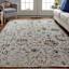 (B888) Honeyboom Hayden Paisley Multicolor Accent Rug, 3x5