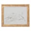 Providence Glass Framed Birds Sketch Wall Art, 20x16