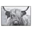 Ty Pennington Framed Highland Cow Canvas Wall Art, 24x16