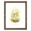 Honeybloom Framed Mushroom Print Wall Art, 13x16