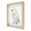 Honeybloom Glass Framed Bird Print Wall Decor, 12"