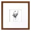 Honeybloom Glass Framed Floral Print Wall Art, 13"