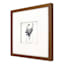Honeybloom Glass Framed Floral Print Wall Art, 13"