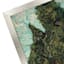Framed Cypress Tree Wall Art, 8x10