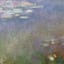 Framed Monet Water Lilies Wall Art, 8x10