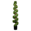Spiral Topiary in Black Pot, 60"