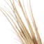 Light Dried Grass Bundle, 3'