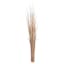 Dried Dark Grass Bundle, 5'