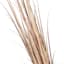Dried Dark Grass Bundle, 5'