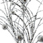 Silver Firework Spray, 43"